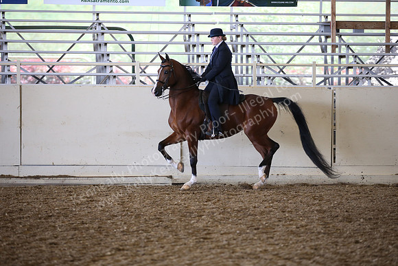 AHANC_Show18_SatPM_2956