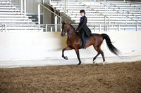 AHANC_Show18_SatPM_2958