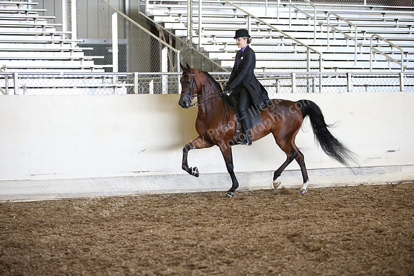 AHANC_Show18_SatPM_2958