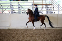 AHANC_Show18_SatPM_2955