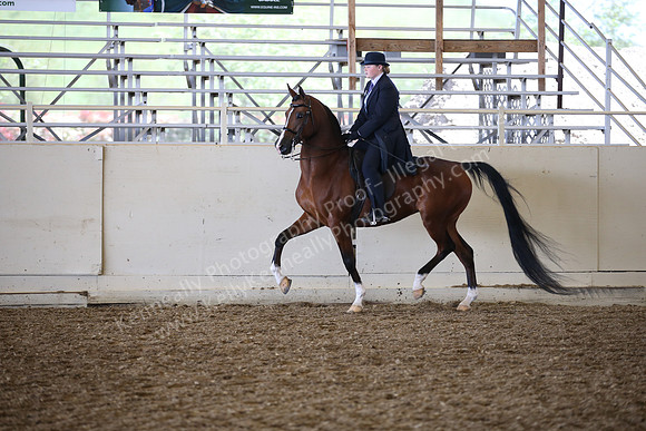 AHANC_Show18_SatPM_2955