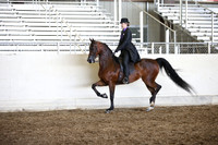 AHANC_Show18_SatPM_2959