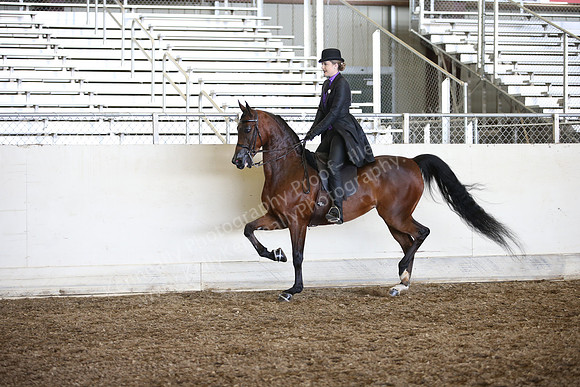 AHANC_Show18_SatPM_2959
