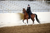 AHANC_Show18_SatPM_2963