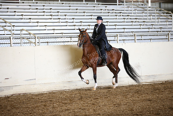 AHANC_Show18_SatPM_2963