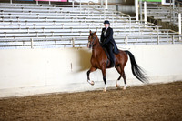 AHANC_Show18_SatPM_2962