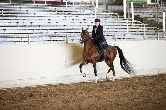AHANC_Show18_SatPM_2962