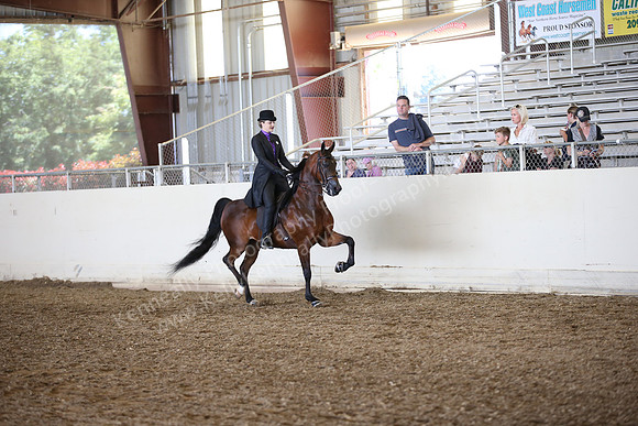 AHANC_Show18_SatPM_2964