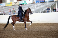 AHANC_Show18_SatPM_2969