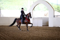 AHANC_Show18_SatPM_2970