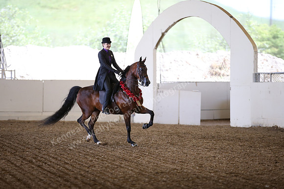 AHANC_Show18_SatPM_2970