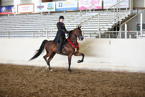 AHANC_Show18_SatPM_2980