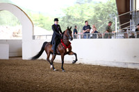 AHANC_Show18_SatPM_2972