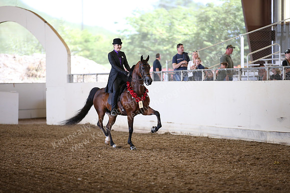 AHANC_Show18_SatPM_2972