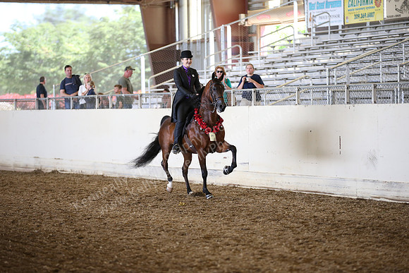 AHANC_Show18_SatPM_2973