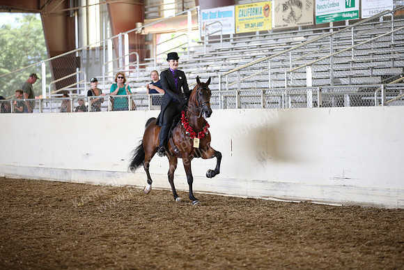 AHANC_Show18_SatPM_2974