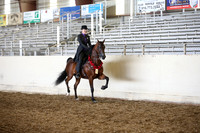 AHANC_Show18_SatPM_2976