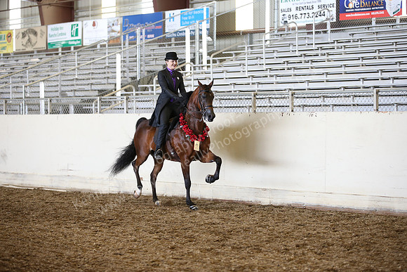 AHANC_Show18_SatPM_2976
