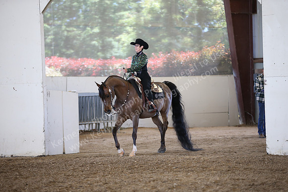 AHANC_Show18_SatPM_2984