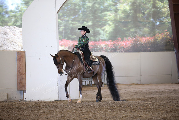 AHANC_Show18_SatPM_2985