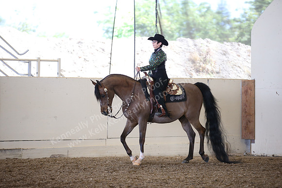 AHANC_Show18_SatPM_2986
