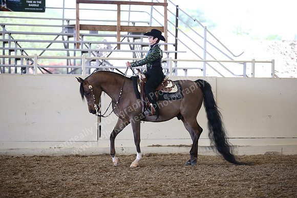 AHANC_Show18_SatPM_2989