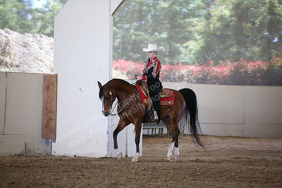 AHANC_Show18_SatPM_3006