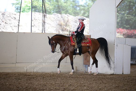 AHANC_Show18_SatPM_3007