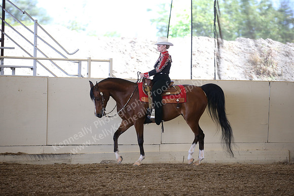 AHANC_Show18_SatPM_3008