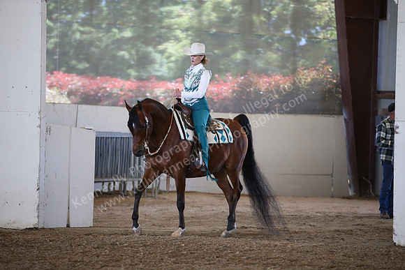 AHANC_Show18_SatPM_3010