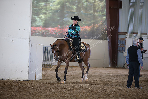 AHANC_Show18_SatPM_3015