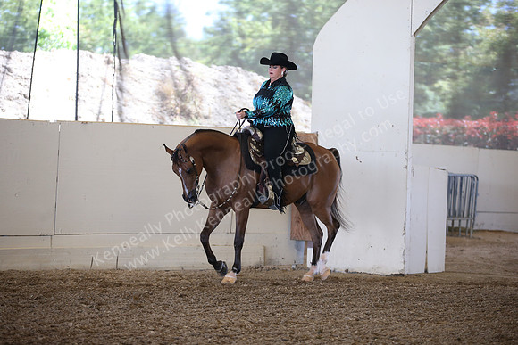 AHANC_Show18_SatPM_3017