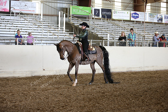 AHANC_Show18_SatPM_3029