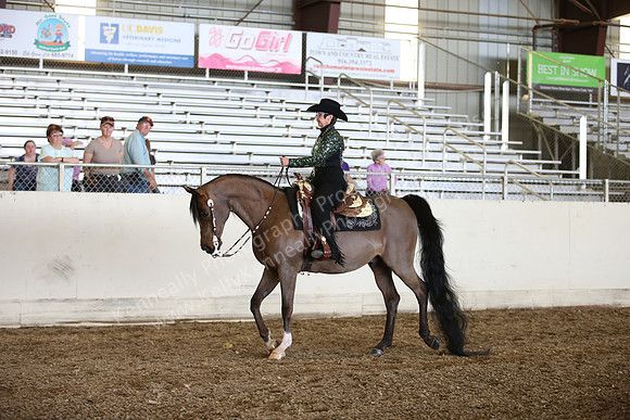 AHANC_Show18_SatPM_3031