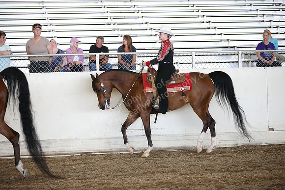 AHANC_Show18_SatPM_3037