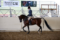 AHANC_Show18_SatPM_3089