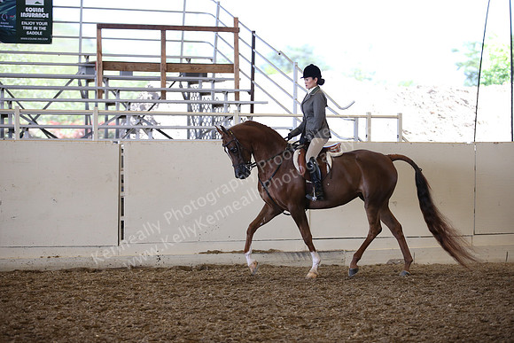 AHANC_Show18_SatPM_3095
