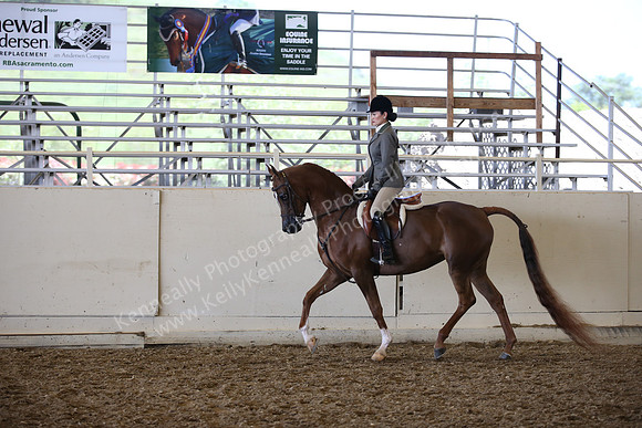 AHANC_Show18_SatPM_3096