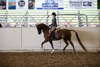 AHANC_Show18_SatPM_3097