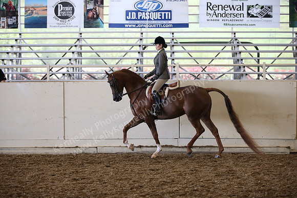 AHANC_Show18_SatPM_3097