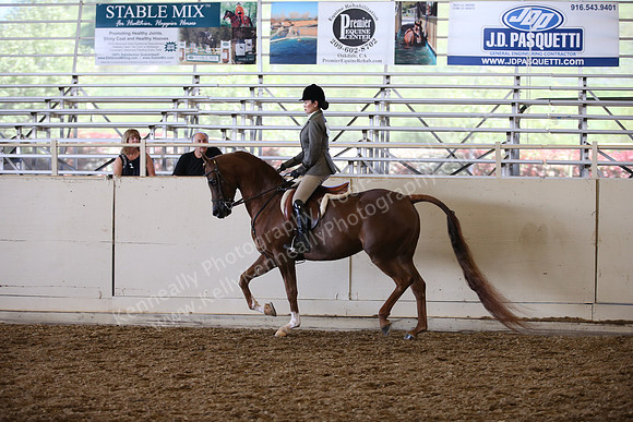AHANC_Show18_SatPM_3098