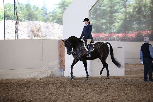 AHANC_Show18_SatPM_3099