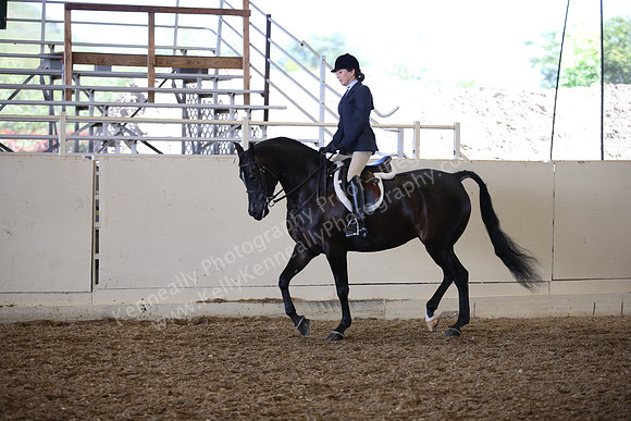 AHANC_Show18_SatPM_3101