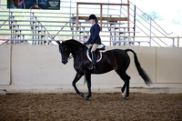 AHANC_Show18_SatPM_3102