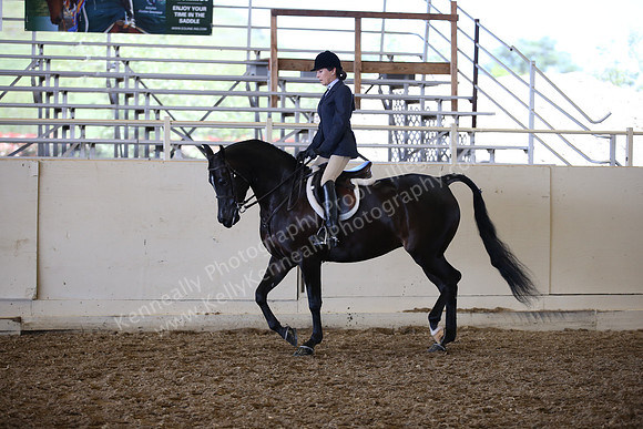 AHANC_Show18_SatPM_3102