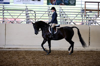 AHANC_Show18_SatPM_3103