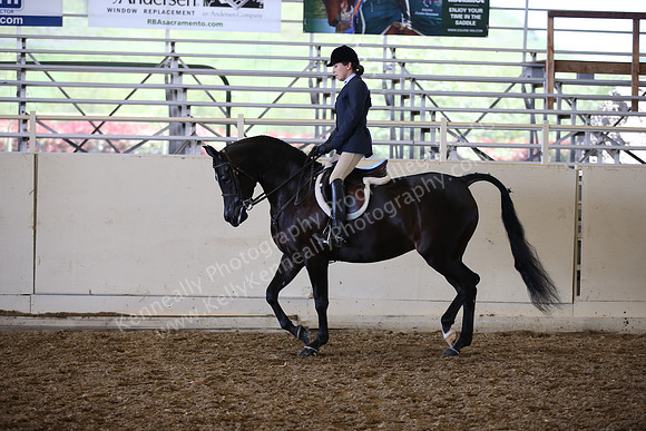 AHANC_Show18_SatPM_3103