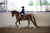 AHANC_Show18_SatPM_3159