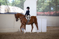 AHANC_Show18_SatPM_3161