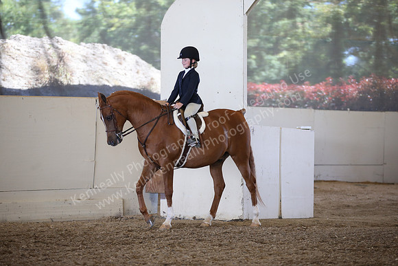 AHANC_Show18_SatPM_3161